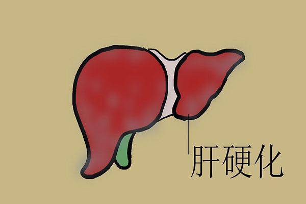 如何判断女性雌激素是否充足？标准是什么？怎样稳定雌激素？  女性雌激素 稳定雌激素 第4张