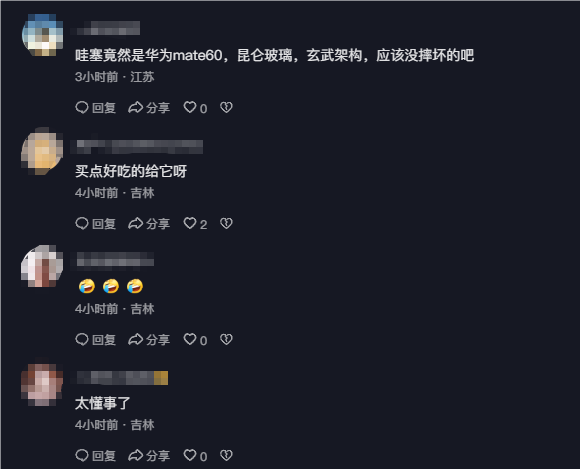 大猩猩帮游客捡回手机还放进筐 眼尖网友：华为Mate 60 大猩猩帮游客捡回手机 第3张