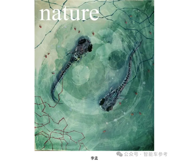 斑马鱼脑科学融合自动驾驶 马斯克中国门徒新进展 不挑车也不挑芯片 斑马鱼脑科学 自动驾驶 马斯克 第2张