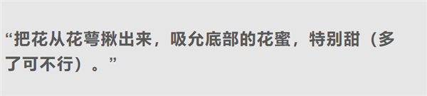 剧毒的曼陀罗花蜜也敢吃：昆明小松鼠的胆儿真大 曼陀罗花蜜 昆明小松鼠 第8张