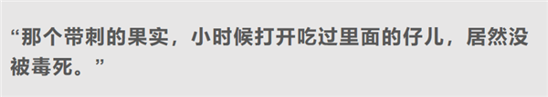 剧毒的曼陀罗花蜜也敢吃：昆明小松鼠的胆儿真大 曼陀罗花蜜 昆明小松鼠 第7张