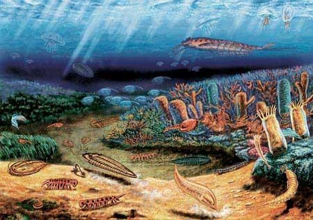 5.6-5.2亿年前寒武纪生命大爆发：我国科学家有重大发现 寒武纪生命大爆发 第1张