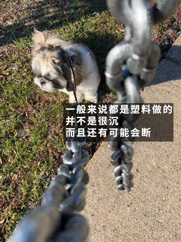 哮天犬犯天条了？5斤的狗好像配了根500斤的链子 哮天犬 狗 第6张