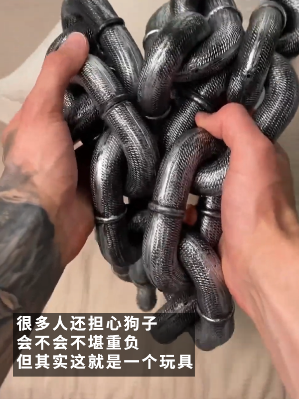 哮天犬犯天条了？5斤的狗好像配了根500斤的链子 哮天犬 狗 第5张