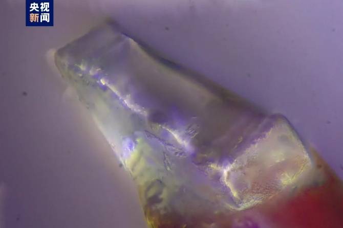 发现分子水了，那月球能种菜了吗？科研人员解答来了  月球能种菜吗 第3张