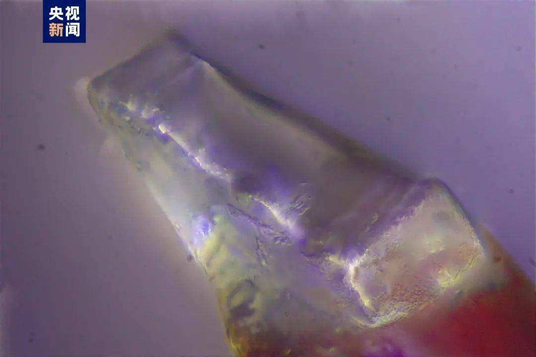 月球能不能种菜？科研人员解答来了 月球能不能种菜 第3张