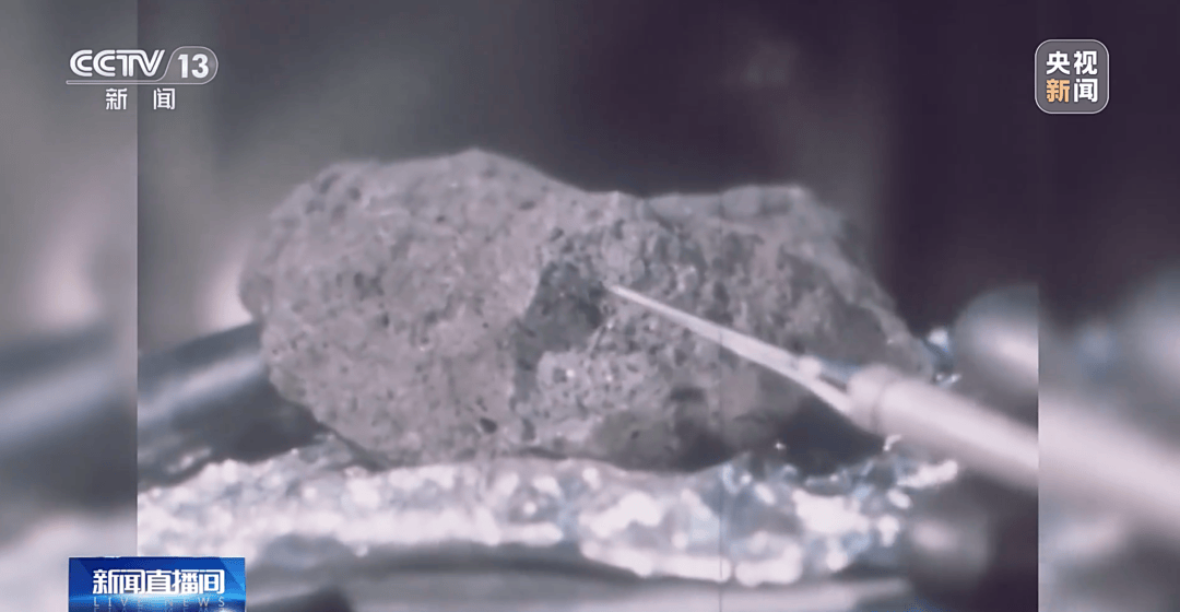 月球能不能种菜？科研人员解答来了 月球能不能种菜 第4张