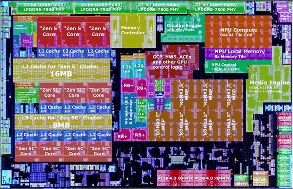 AMD Zen5锐龙AI 300被完全扒开！12个同构“大小核” 锐龙AI 300 第3张