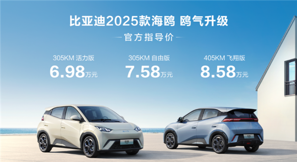 通勤神车再次更新！比亚迪2025款海鸥正式上市：售6.98万元起 比亚迪2025款海鸥 第1张