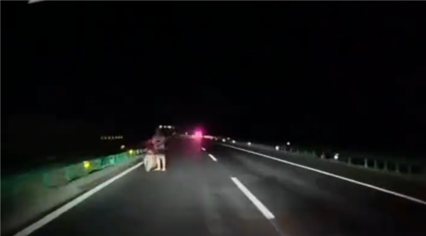 时速百公里！华为智驾夜间高速紧急避让行人：救了两个家庭 华为智驾 第1张