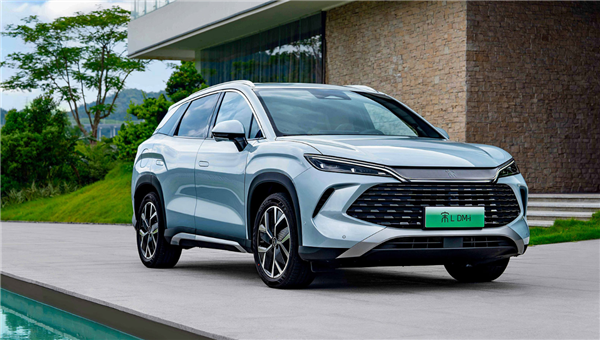中国人太爱能加油的新能源汽车 插混占世界近8成 新能源汽车 插混 第1张