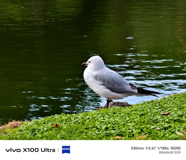 vivo X100 Ultra上手：今年最全能的影像灭霸旗舰 Ultra 第1张