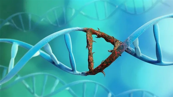 3000万年感染灵长类祖先的病毒：要为今天人类的癌症埋单 感染灵长类祖先的病毒 癌症 第1张