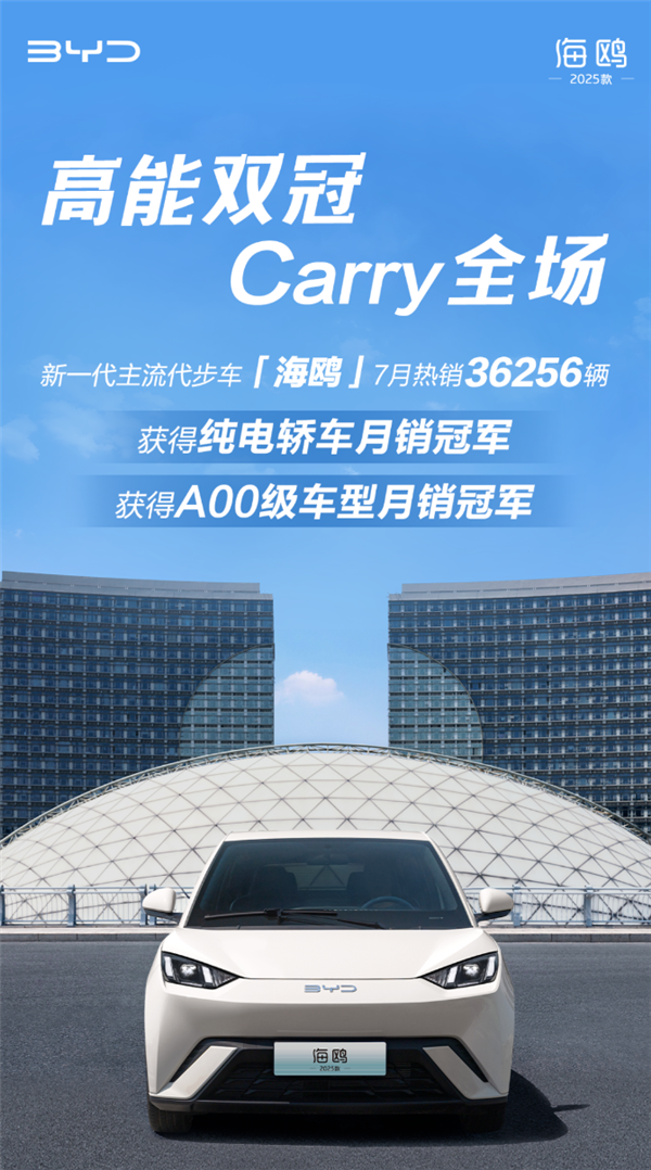 新一代主流代步车 海鸥获纯电轿车+A00级车型月销双冠军 海鸥获纯电轿车 第1张