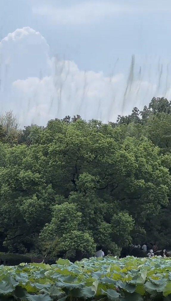 网友拍到西湖边妖气冲天！家释疑：是蚊子在交配 西湖边妖气冲天 蚊子交配 第1张