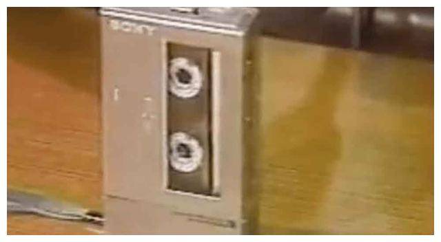 89年日本搜救队发现遗骸，录音展示诡异呼救，巨大SOS非活人所留  89年日本搜救队 巨大SOS 第13张