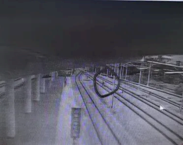 男子抄近路出站 跳入火车轨道致高铁晚点 被拘5日 跳入火车轨道 第1张