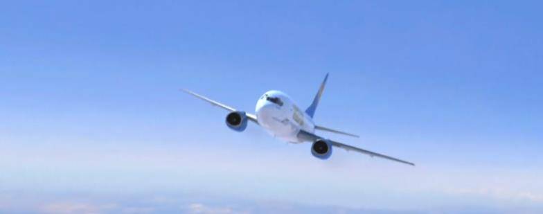 绝望的空中浩劫，120人离奇昏死，“幽灵航班”还是蝴蝶效应？  空中浩劫 幽灵航班 第9张
