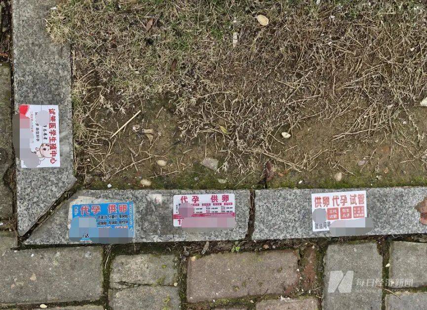“捐卵”十七八次？你想卖卵，黑机构想要你卖命！ 第1张