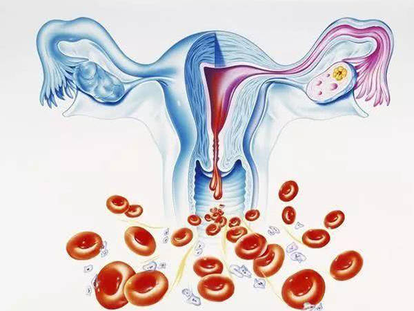 揭秘女性排卵的六大感觉，认准症状定位排卵期也不难  女性排卵 第1张