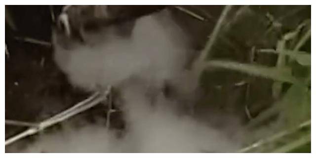 云南深山诡异毒泉竟能让人变哑，泉边寸草不生，连牛羊不敢靠近  云南深山诡异毒泉 第11张