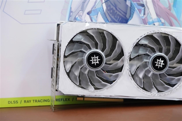 15999元卡皇！影驰RTX 4090D星曜显卡图赏 影驰RTX 4090D星曜显卡 第10张
