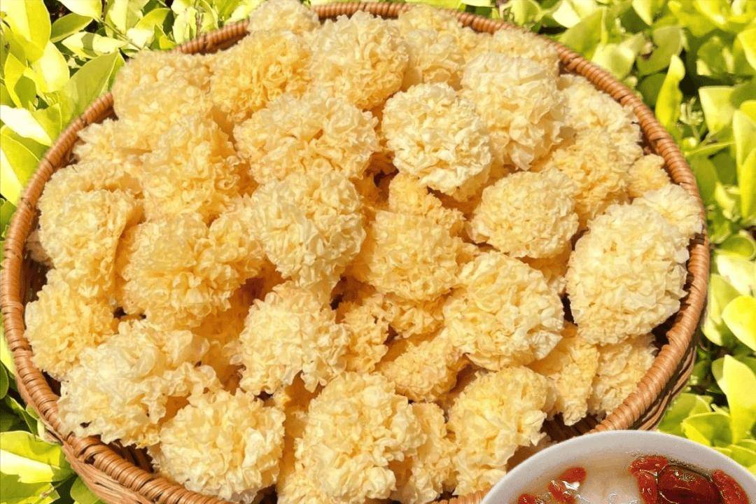 “秋补养肺，冬易病”！肺最喜欢的4种食物，每周吃2次，润燥养肺  第25张