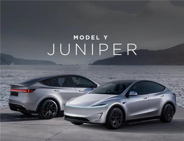 7座的Model Y要进国内？我建议特斯拉再考虑考虑 Model Y7座 第2张