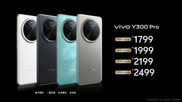 6500mAh蓝海电池续航无敌！vivo Y300 Pro发布：1799元起 vivo Pro 第2张