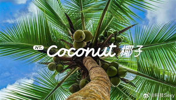 乐道L60首发NT.Coconut椰子乐道智能系统：9月19日上市 乐道L60 乐道智能系统 第1张