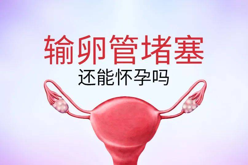 有哪些预防输卵管堵塞的方法呢？  输卵管堵塞 第1张