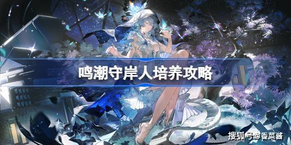 《鸣潮》守岸人培养攻略  鸣潮 守岸人培养攻略 第1张