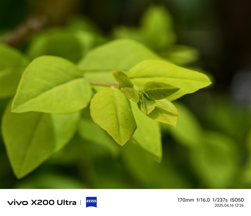 年度封神之作！vivo X200 Ultra全面评测：自带外挂的全能V单 vivo Ultra全面评测 第59张