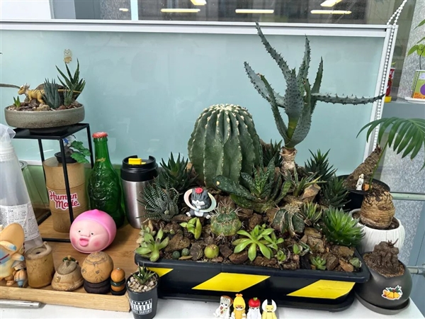 上班期间不会“高效休息”就亏大了!快来学学保证不后悔 高效休息 第2张 上班期间不会“高效休息”就亏大了!快来学学保证不后悔 高效休息 第2张