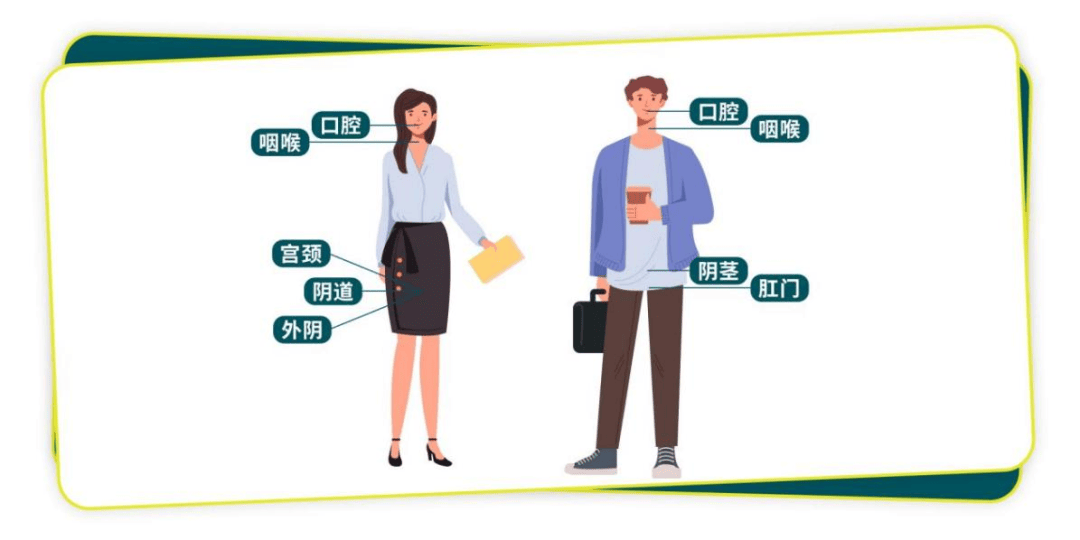 预防HPV, 男性迎来更多新的选择 预防HPV 第3张 预防HPV, 男性迎来更多新的选择 预防HPV 第3张