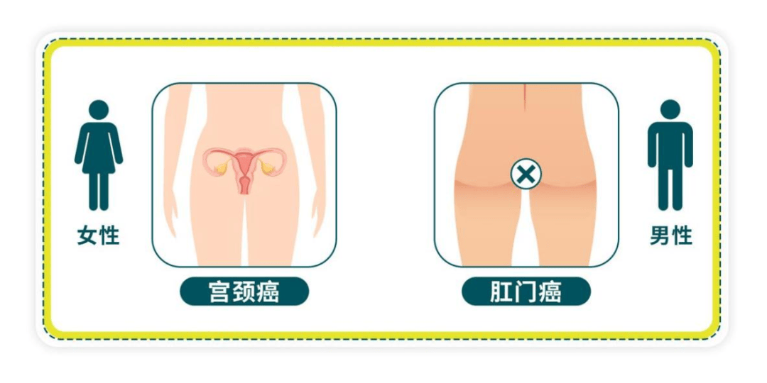 预防HPV, 男性迎来更多新的选择 预防HPV 第5张 预防HPV, 男性迎来更多新的选择 预防HPV 第5张
