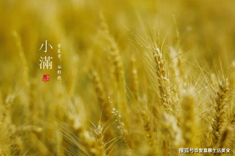 小满来临,记得给家人吃这菜,一清热、二下火、三补水,老少皆宜! 小满吃这菜 第1张 小满来临,记得给家人吃这菜,一清热、二下火、三补水,老少皆宜! 小满吃这菜 第1张