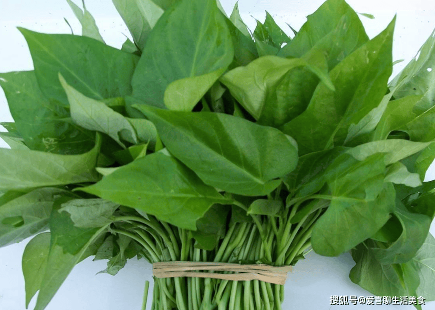小满来临,记得给家人吃这菜,一清热、二下火、三补水,老少皆宜! 小满吃这菜 第9张 小满来临,记得给家人吃这菜,一清热、二下火、三补水,老少皆宜! 小满吃这菜 第9张