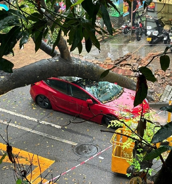 陶琳:特斯拉的安全经受住了各种实战考验 特斯拉 第1张 陶琳:特斯拉的安全经受住了各种实战考验 特斯拉 第1张
