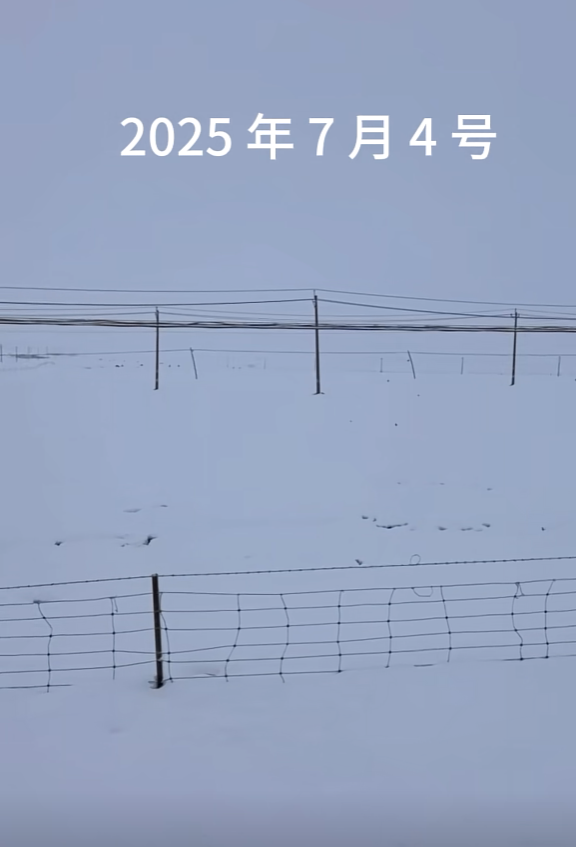 青海祁连七月飞雪 当地气象局回应:概率非常低 第2张 青海祁连七月飞雪 当地气象局回应:概率非常低 第2张