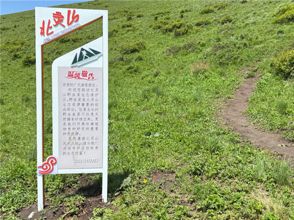数千人涌入割韭菜:北京的这座山被“薅秃了” 割韭菜 第6张 数千人涌入割韭菜:北京的这座山被“薅秃了” 割韭菜 第6张