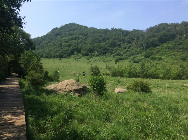 数千人涌入割韭菜:北京的这座山被“薅秃了” 割韭菜 第7张 数千人涌入割韭菜:北京的这座山被“薅秃了” 割韭菜 第7张