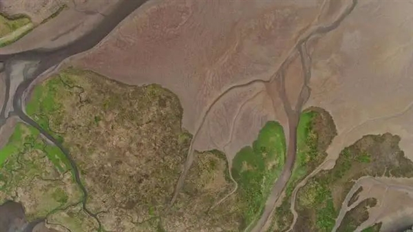 为什么古代中国经常会闹饥荒 闹饥荒 第3张 为什么古代中国经常会闹饥荒 闹饥荒 第3张