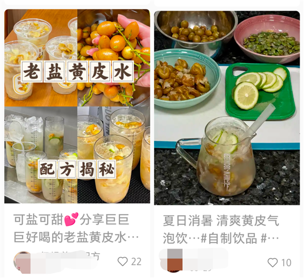 黄皮是北方人的盲区 营养却相当丰富 现在吃正好 黄皮 第1张 黄皮是北方人的盲区 营养却相当丰富 现在吃正好 黄皮 第1张