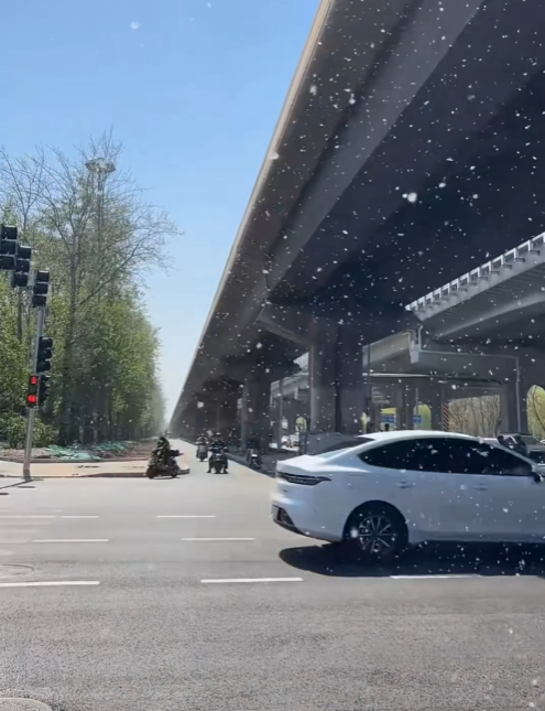 你的车可能真会被防虫网闷死! 你的车可能真会被防虫网闷死 第5张 你的车可能真会被防虫网闷死! 你的车可能真会被防虫网闷死 第5张
