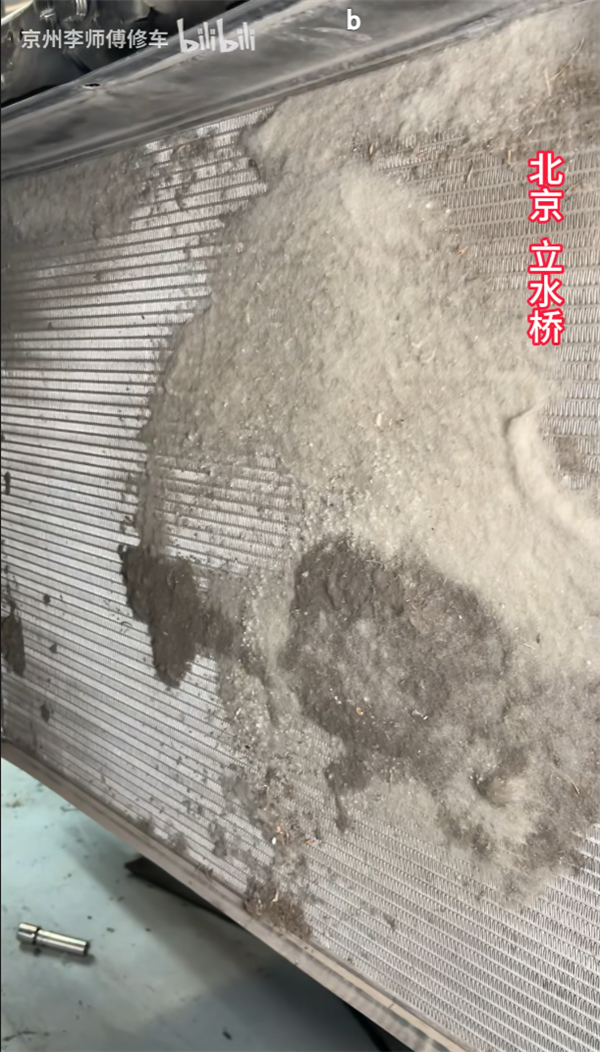 你的车可能真会被防虫网闷死! 你的车可能真会被防虫网闷死 第8张 你的车可能真会被防虫网闷死! 你的车可能真会被防虫网闷死 第8张