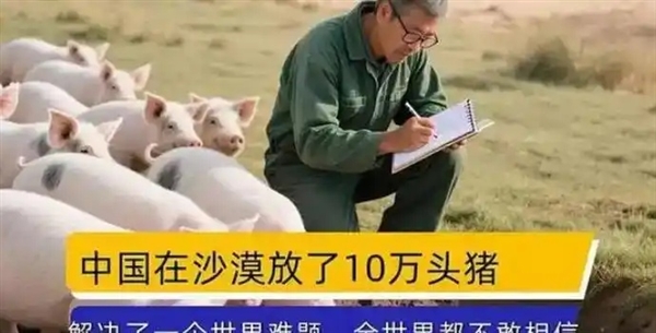 中国人在沙漠里放了10万头黑猪:解决世界级治沙难题 解决世界级治沙难题 第4张 中国人在沙漠里放了10万头黑猪:解决世界级治沙难题 解决世界级治沙难题 第4张