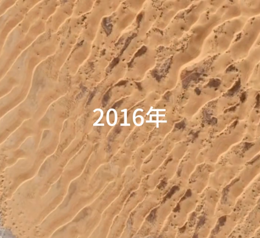 中国人在沙漠里放了10万头黑猪:解决世界级治沙难题 解决世界级治沙难题 第6张 中国人在沙漠里放了10万头黑猪:解决世界级治沙难题 解决世界级治沙难题 第6张