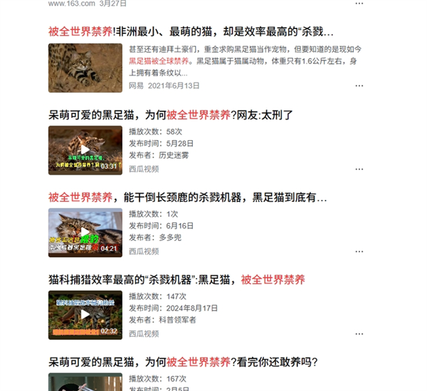 这是已知最致命的猫科动物！一年猎杀3000只啮齿动物 猫科动物 第6张