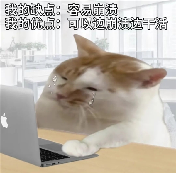 Win 11升级这个劫：我是非渡不可吗 11升级 第1张